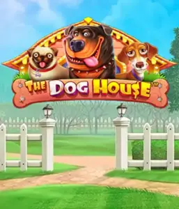 Pragmatic Play's The Dog House, offering an adorable experience among playful pups. Discover gameplay elements such as free spins, aimed at providing entertaining gameplay. A must-try for animal enthusiasts a cheerful setting and the opportunity to win big.