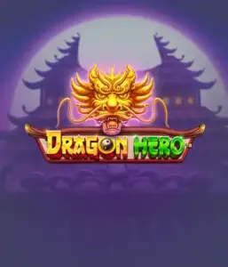 Enter a legendary quest with Dragon Hero Slot by Pragmatic Play, featuring stunning visuals of mighty dragons and epic encounters. Venture into a land where legend meets adventure, with symbols like treasures, mystical creatures, and enchanted weapons for a mesmerizing gaming experience.